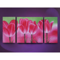 Whoesale Beautiful Oil Painting of Flower on Canvas (FL3-190)